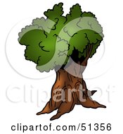 Royalty Free RF Clipart Illustration Of A Tree With Gree Foliage Version 7
