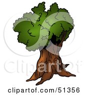 Poster, Art Print Of Tree With Gree Foliage - Version 7