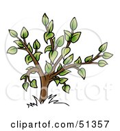 Royalty Free RF Clipart Illustration Of A Tree With Gree Foliage Version 2