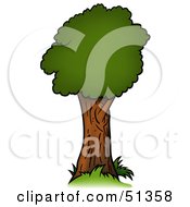 Royalty Free RF Clipart Illustration Of A Tree With Gree Foliage Version 3