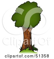 Poster, Art Print Of Tree With Gree Foliage - Version 3