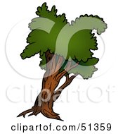 Royalty Free RF Clipart Illustration Of A Tree With Gree Foliage Version 4