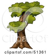 Royalty Free RF Clipart Illustration Of A Tree With Gree Foliage Version 5
