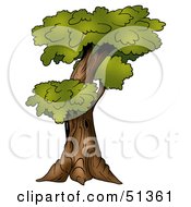 Poster, Art Print Of Tree With Gree Foliage - Version 5