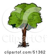Royalty Free RF Clipart Illustration Of A Tree With Gree Foliage Version 6