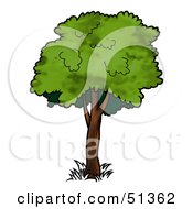 Poster, Art Print Of Tree With Gree Foliage - Version 6