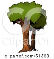 Royalty Free RF Clipart Illustration Of A Tree With Gree Foliage Version 11