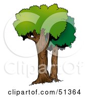 Royalty Free RF Clipart Illustration Of A Tree With Gree Foliage Version 8