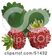 Royalty Free RF Clipart Illustration Of Two Fresh Wild Strawberries And Leaves