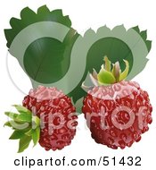 Poster, Art Print Of Two Fresh Wild Strawberries And Leaves