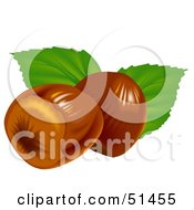 Poster, Art Print Of Two Hazelnuts And Leaves