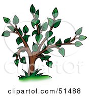 Royalty Free RF Clipart Illustration Of A Tree With Gree Foliage Version 1