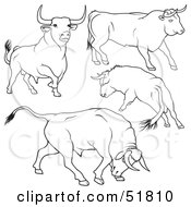 Poster, Art Print Of Digital Collage Of Black And White Bull Outlines - Version 1