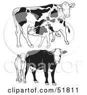 Poster, Art Print Of Digital Collage Of Black And White Dairy Cow Outlines - Version 3