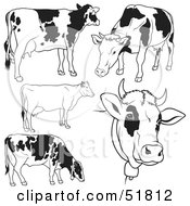 Poster, Art Print Of Digital Collage Of Black And White Dairy Cow Outlines - Version 2