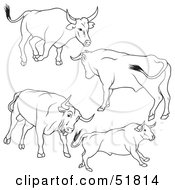 Poster, Art Print Of Digital Collage Of Black And White Bull Outlines - Version 8