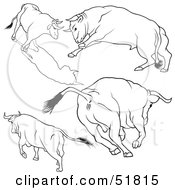 Poster, Art Print Of Digital Collage Of Black And White Bull Outlines - Version 5