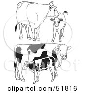 Poster, Art Print Of Digital Collage Of Black And White Dairy Cow Outlines - Version 4