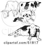 Poster, Art Print Of Digital Collage Of Black And White Dairy Cow Outlines - Version 1