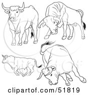 Poster, Art Print Of Digital Collage Of Black And White Bull Outlines - Version 3