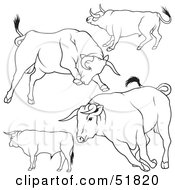 Poster, Art Print Of Digital Collage Of Black And White Bull Outlines - Version 4