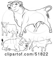 Poster, Art Print Of Digital Collage Of Black And White Bull Outlines - Version 2