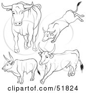 Poster, Art Print Of Digital Collage Of Black And White Bull Outlines - Version 9