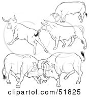 Poster, Art Print Of Digital Collage Of Black And White Bull Outlines - Version 10