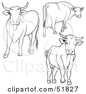 Poster, Art Print Of Digital Collage Of Black And White Cow Outlines - Version 2