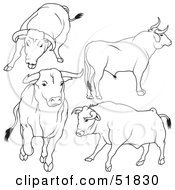 Poster, Art Print Of Digital Collage Of Black And White Bull Outlines - Version 6