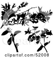 Royalty Free RF Clipart Illustration Of A Digital Collage Of Floral Elements Version 11