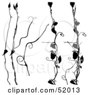 Royalty Free RF Clipart Illustration Of A Digital Collage Of Floral Elements Version 15