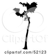 Poster, Art Print Of Black Tree Silhouette - Version 6