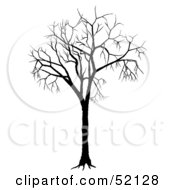 Royalty Free RF Clipart Illustration Of A Bare Tree Silhouette Version 1 by dero