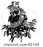 Poster, Art Print Of Leafy Tree Branch Silhouette