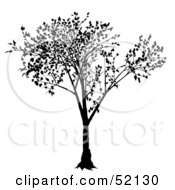 Poster, Art Print Of Black Tree Silhouette - Version 1