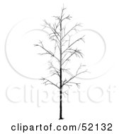 Poster, Art Print Of Bare Tree Silhouette - Version 2