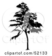 Poster, Art Print Of Black Tree Silhouette - Version 5