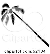 Royalty Free RF Clipart Illustration Of A Leaning Palm Tree Silhouette by dero