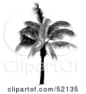 Royalty Free RF Clipart Illustration Of A Leafy Palm Tree Silhouette by dero