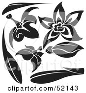 Royalty Free RF Clipart Illustration Of A Digital Collage Of Floral Elements Version 13