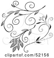 Royalty Free RF Clipart Illustration Of A Digital Collage Of Floral Elements Version 1 by dero