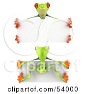 Front And Back Views Of A 3d Green Poison Dart Frog Holding A Blank Sign by Julos