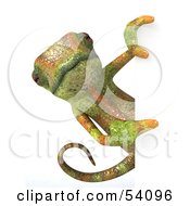 Royalty Free RF Clipart Illustration Of A 3d Chameleon Lizard Character Looking Around A Blank Sign Pose 2 by Julos