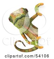 Royalty Free RF Clipart Illustration Of A 3d Chameleon Lizard Character Looking Around A Blank Sign Pose 1