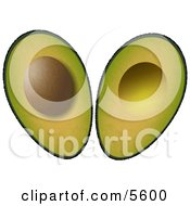 Sliced In Half Avocado Fruit With Seed