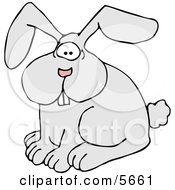 Domestic Grey Rabbit With A Pink Nose Clipart Illustration