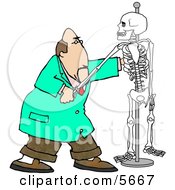 Male Chiropractor Practicing Procedures On A Skeleton Clipart Illustration