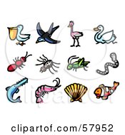 Royalty Free RF Clipart Illustration Of A Digital Collage Of Animals Pelican Swallow Emu Swan Ant Spider Grasshopper Worm Sawfish Prawn Shell And Clown Fish by NL shop