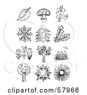 Digital Collage Of Black And White Leaves Mushrooms Snowflakes Plants And Flowers